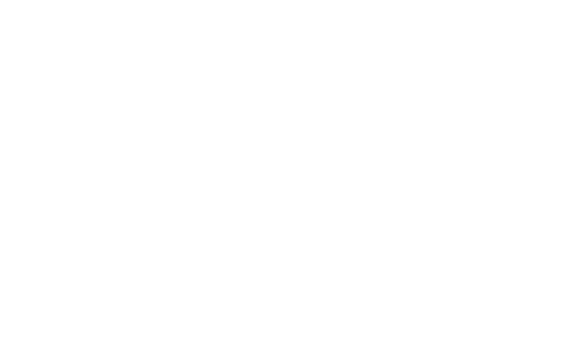 Tranqueras de Toltén